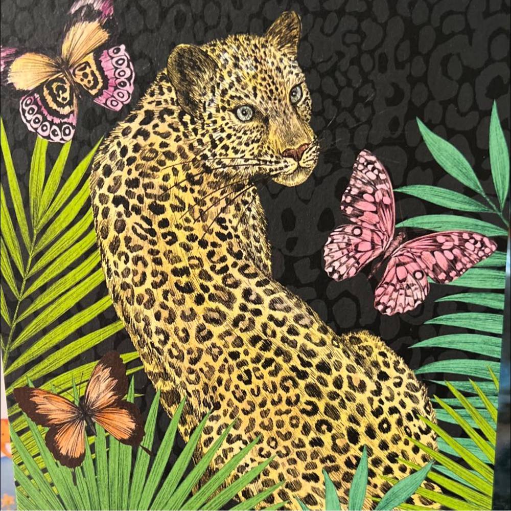 Meet your Posher, Andrea